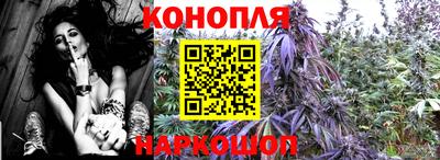 гашик Краснодар