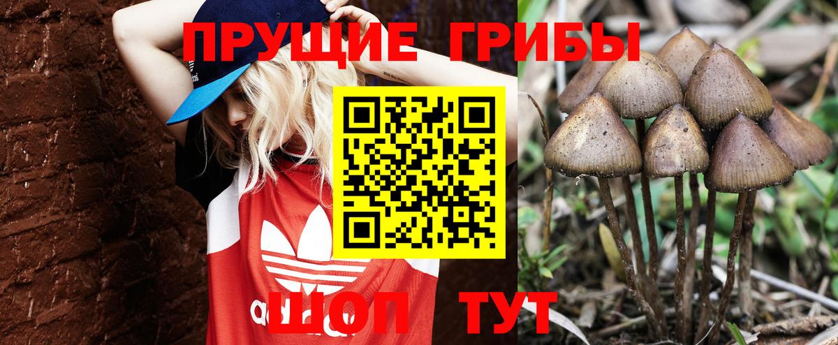 Галлюциногенные грибы MAGIC MUSHROOMS  Вход с VPN  что такое   Галлюциногенные грибы мицелий  Ярцево 